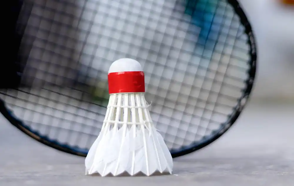 The Definitive Guide to Badminton's Game Rules