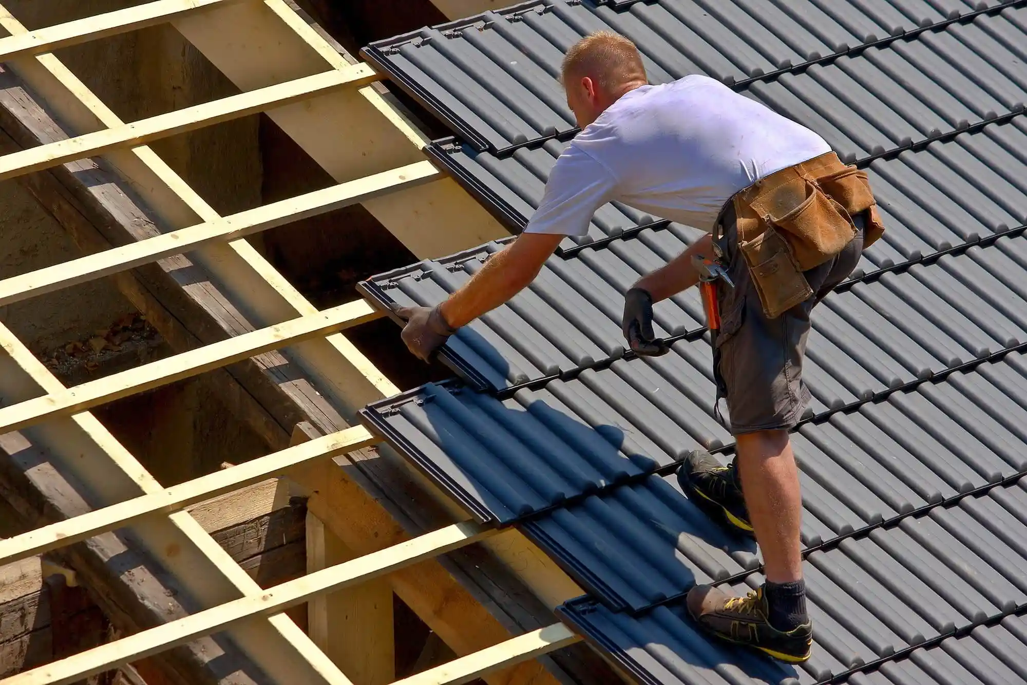 Advantages of Sustainable Roofs for Home Libraries