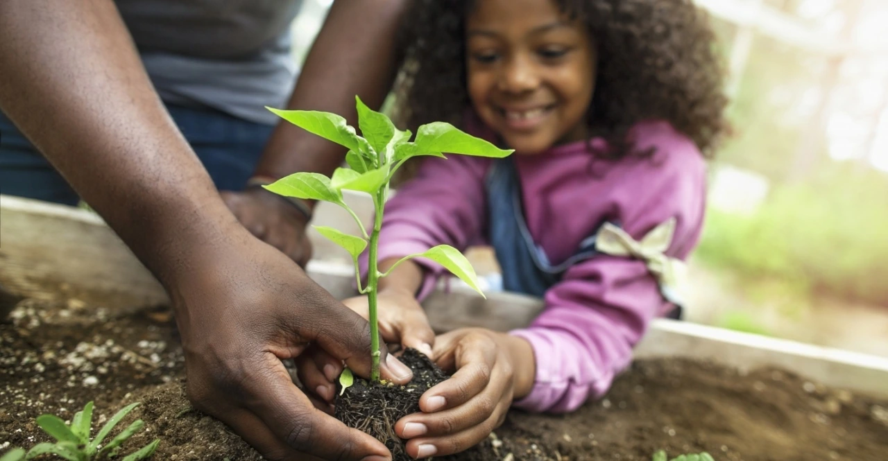 Environmental stewardship importance