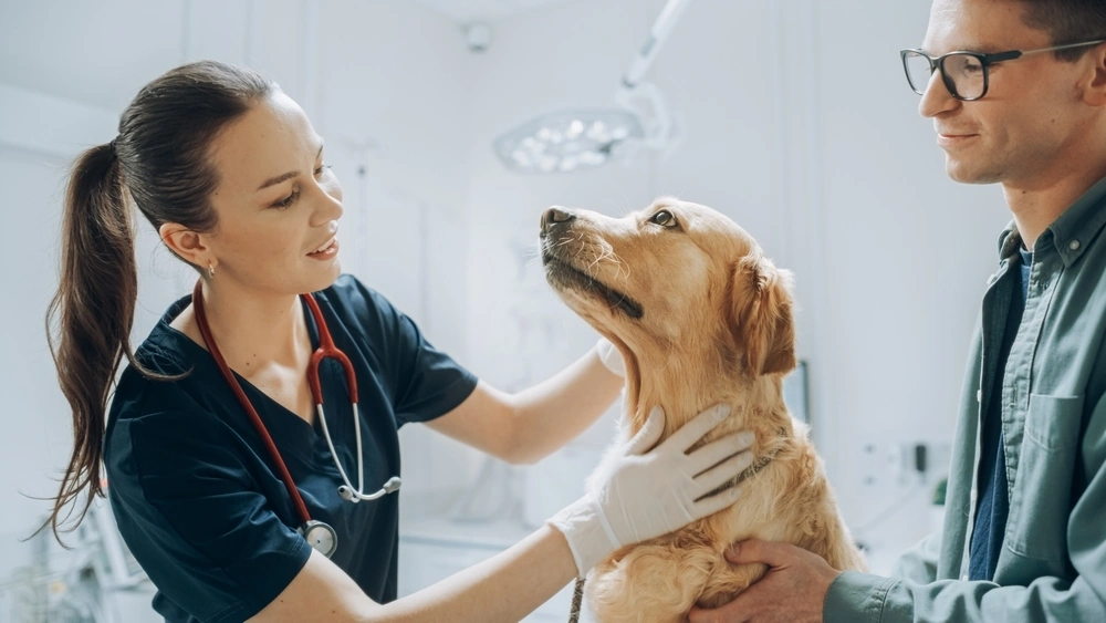 Environmental Impact in Pet Aftercare Can Benefit Your Book's Audience