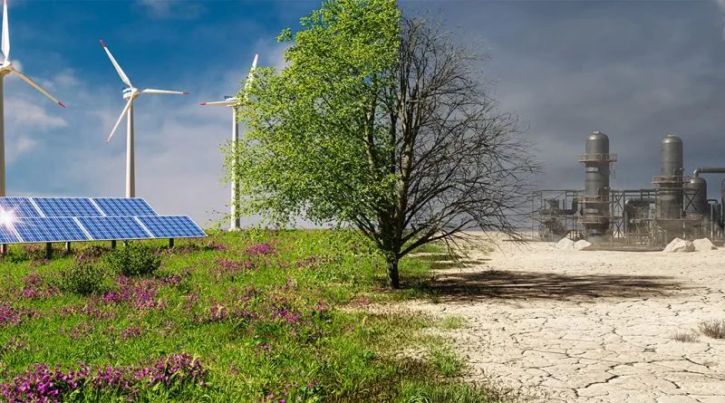 Exploring the Impact of Sustainable Energy in Library Settings