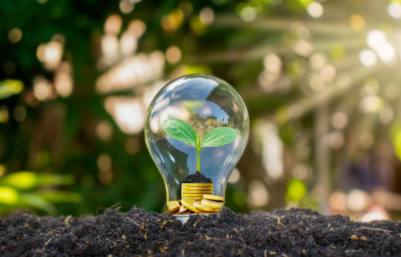sustainable energy practices