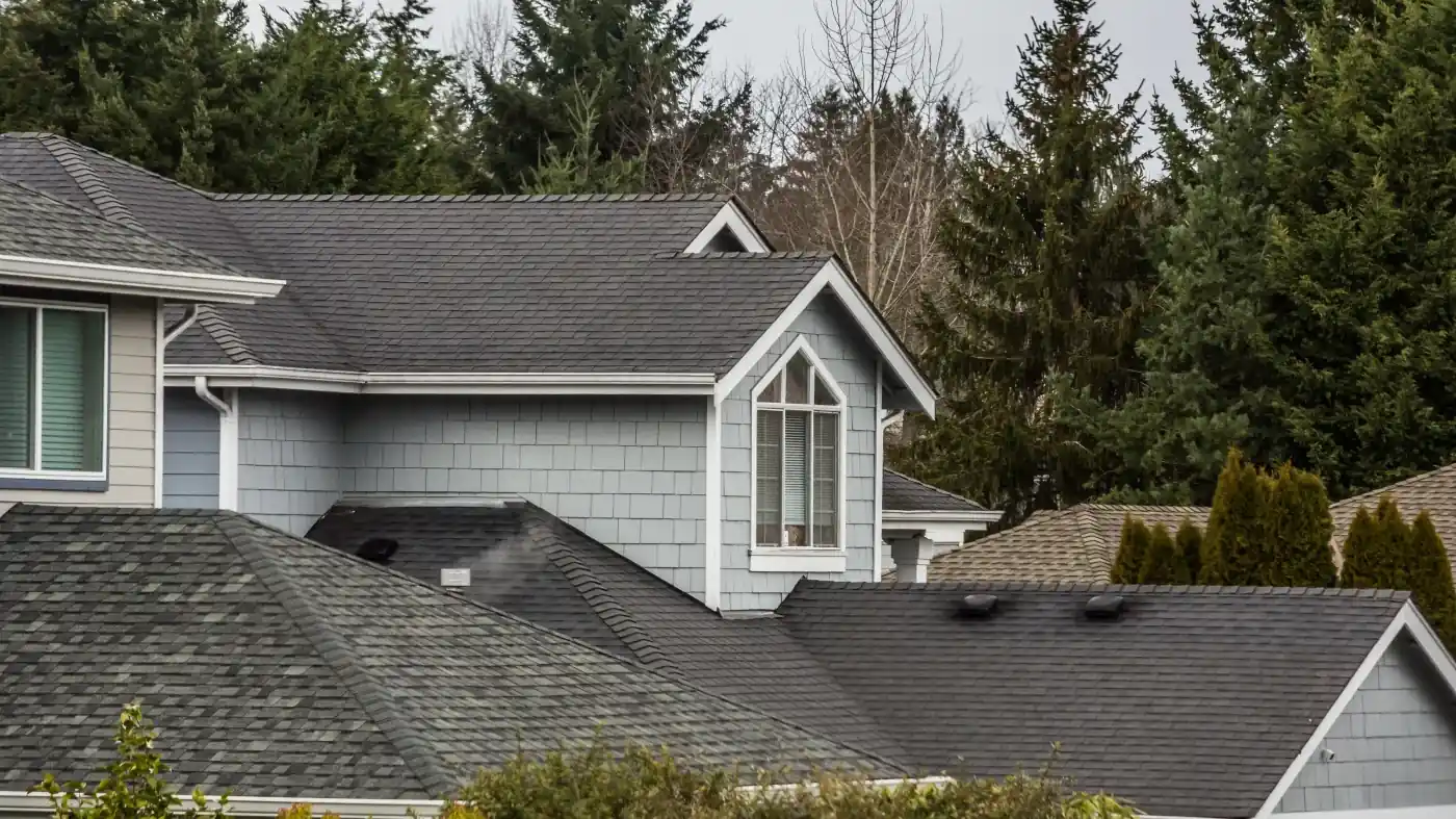 Why roof maintenance is important