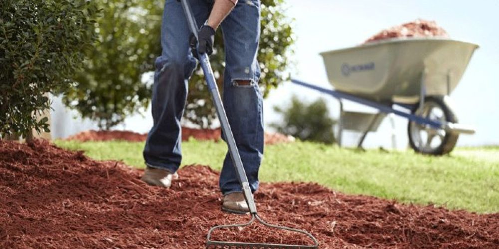 DP18-104252_NPC_BG_AH_garden-tool-hero