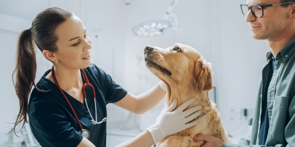 Environmental Impact in Pet Aftercare Can Benefit Your Book's Audience