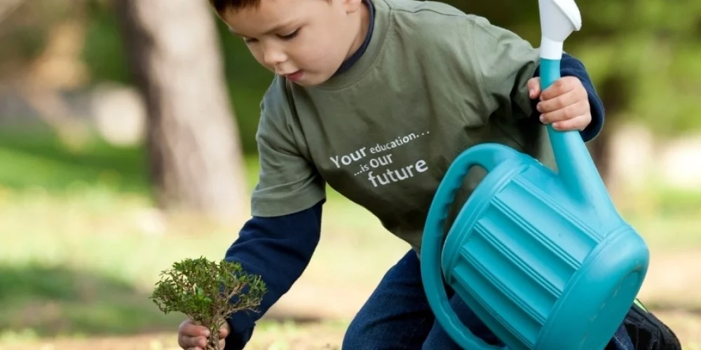 From Protagonists to Sustainability Weaving Carbon Neutrality