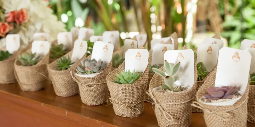 How Eco-Friendly Party Supplies Can Help You Host a Beautiful, Sustainable Wedding