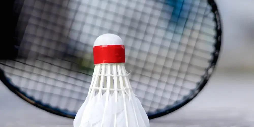 The Definitive Guide to Badminton's Game Rules