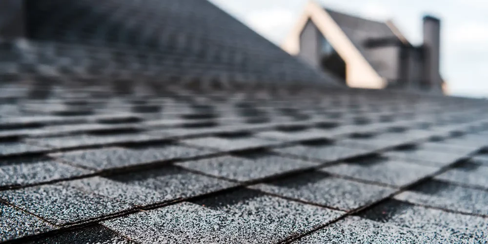 Why Roof Maintenance Is Important for Every Homeowner