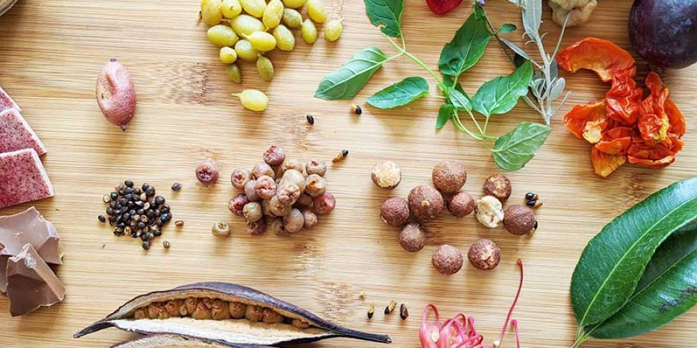 native-australian-ingredients